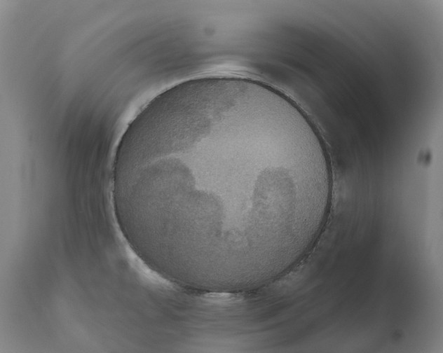 X0000111641478200907311239