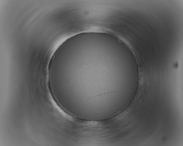 X0000111641479200907311239