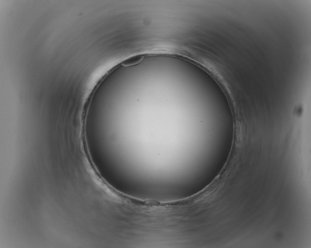 X0000111641480200907311239