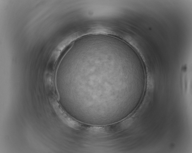 X0000111641481200907311239