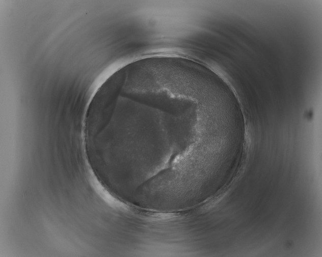 X0000111641482200907311239