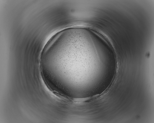 X0000111641483200907311239