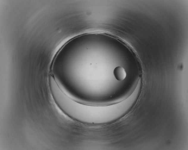 X0000111641484200907311239