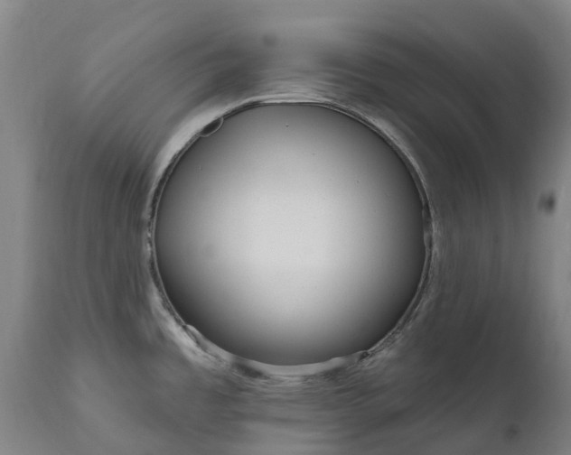 X0000111641485200907311239