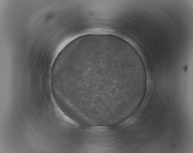 X0000111641486200907311239