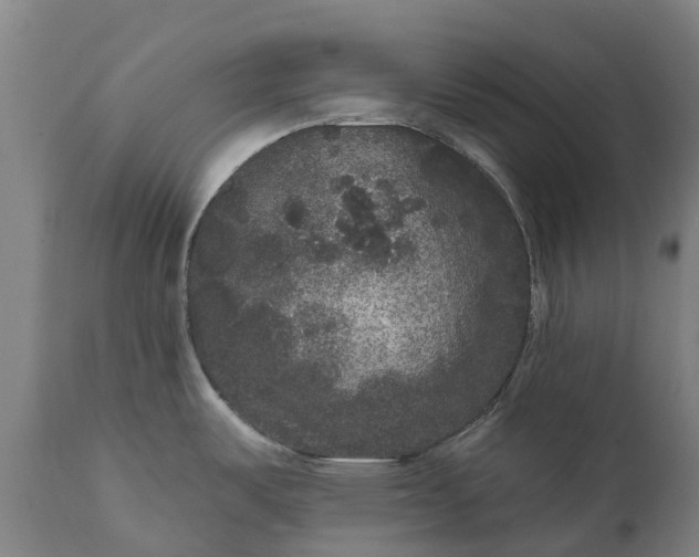 X0000111641487200907311239