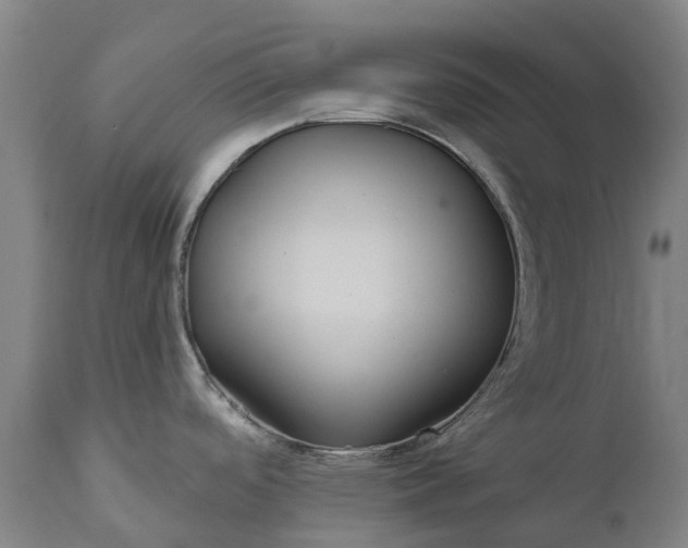 X0000111641488200907311239