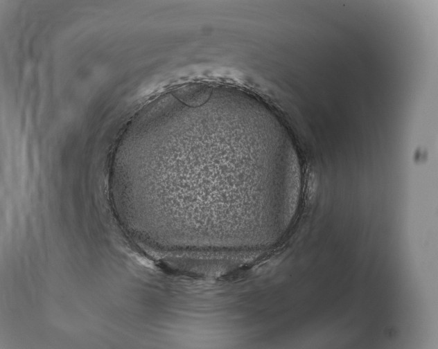 X0000111641489200907311238