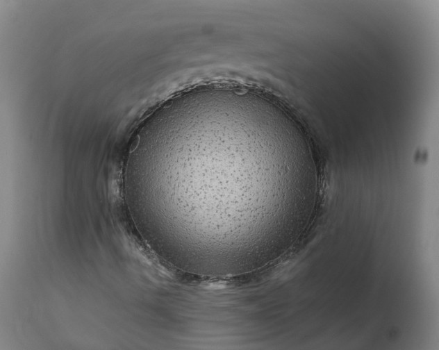 X0000111641490200907311238