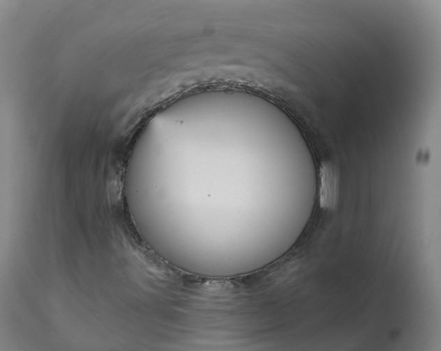 X0000111641491200907311238