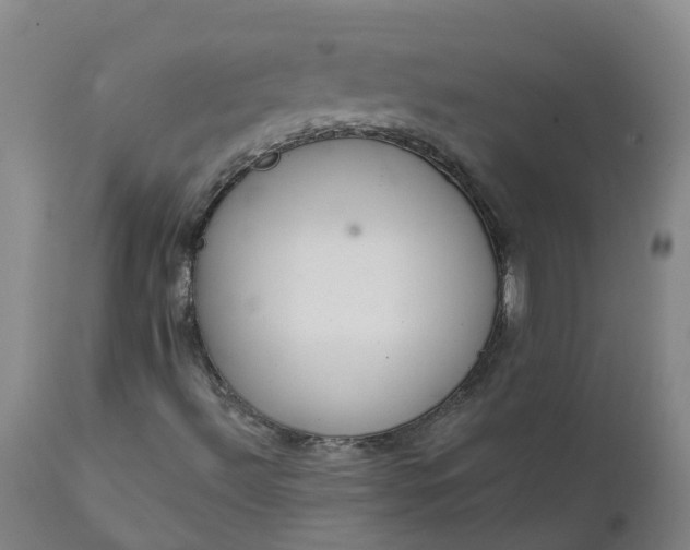 X0000111641492200907311238