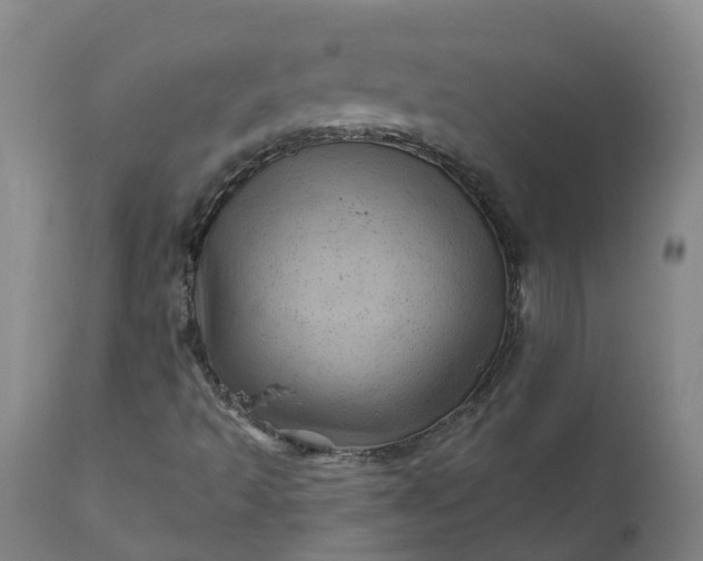 X0000111641493200907311238