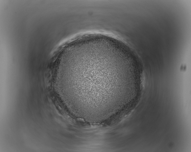 X0000111641494200907311238