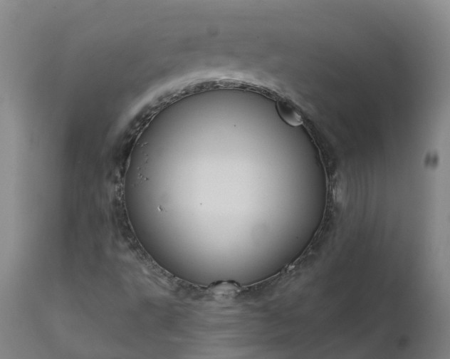 X0000111641495200907311238