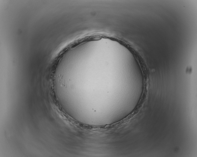 X0000111641496200907311238