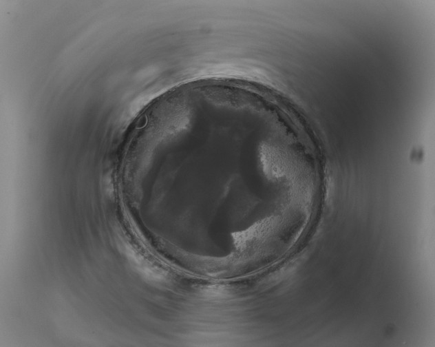 X0000111641497200907311238