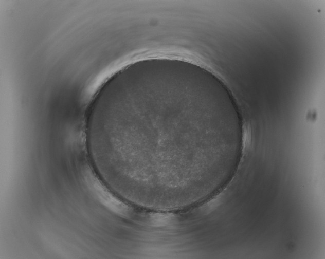 X0000111641498200907311238