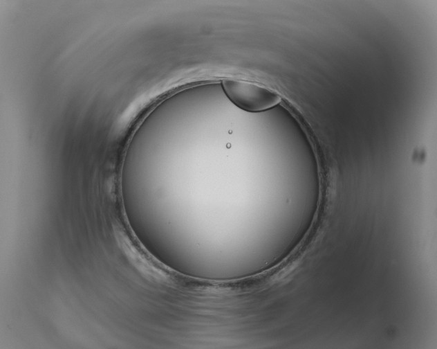 X0000111641499200907311238