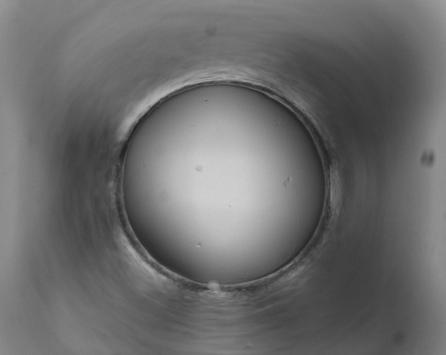 X0000111641500200907311238