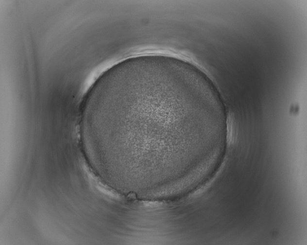 X0000111641501200907311238