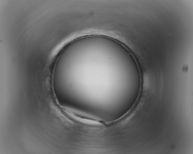 X0000111641502200907311238