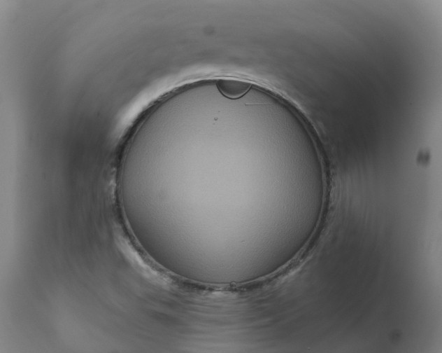 X0000111641503200907311239