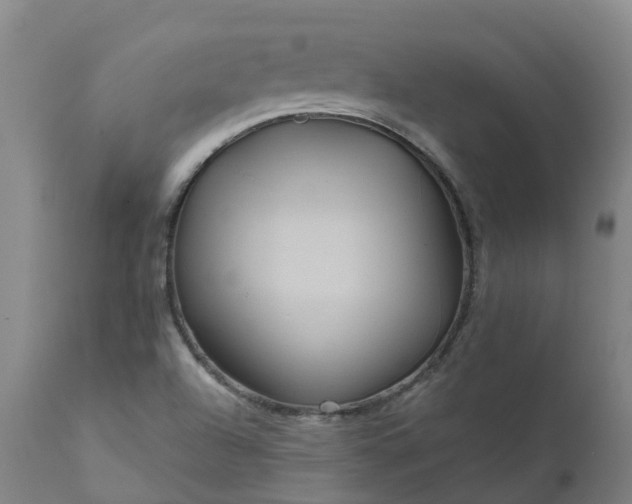 X0000111641504200907311239