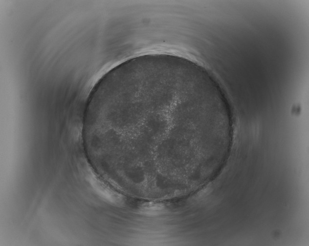 X0000111641505200907311239