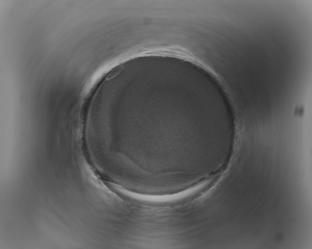 X0000111641506200907311239