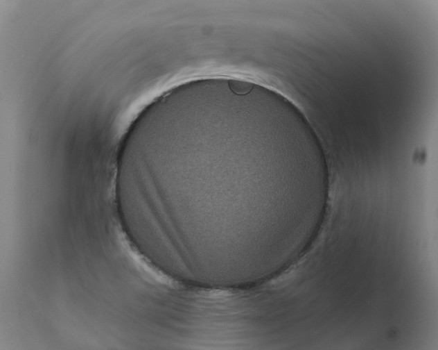 X0000111641507200907311239