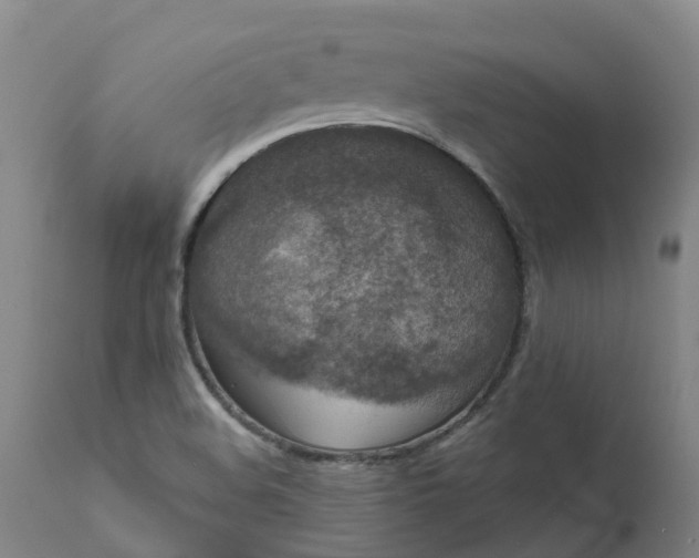 X0000111641508200907311239