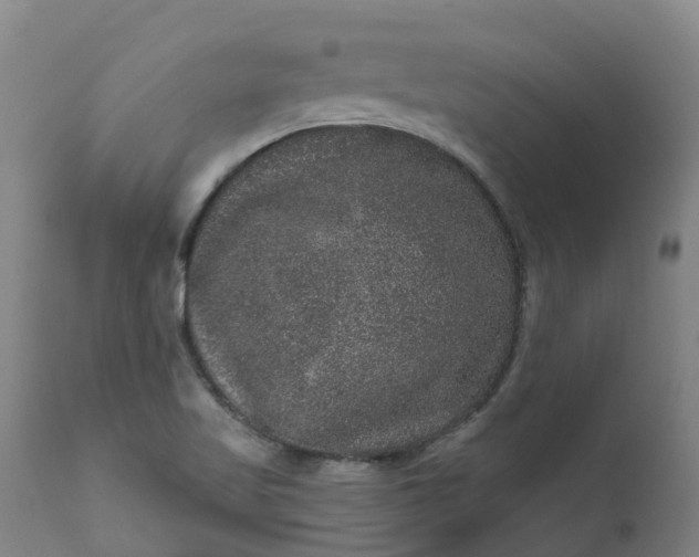 X0000111641509200907311239