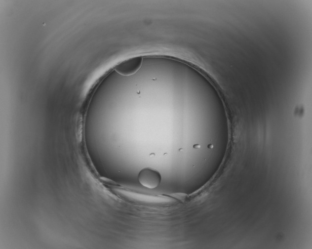 X0000111641510200907311239