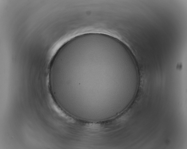 X0000111641511200907311239