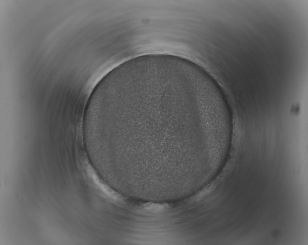 X0000111641513200907311239