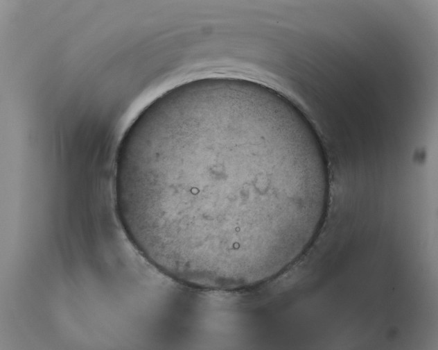 X0000111641514200907311239