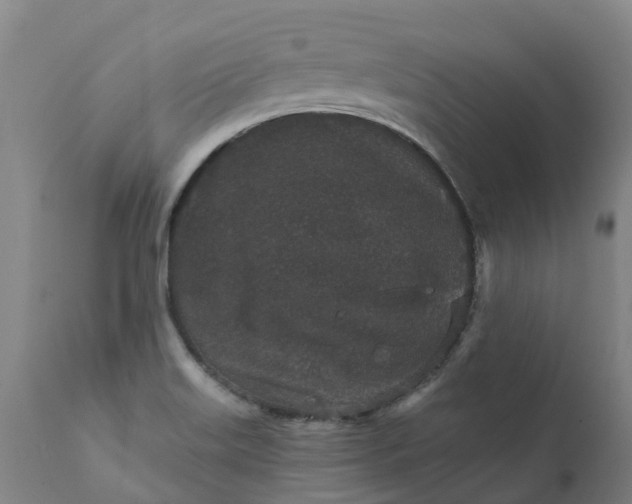 X0000111641515200907311239