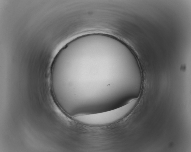 X0000111641516200907311239