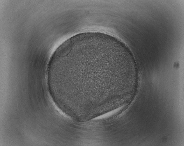 X0000111641517200907311239