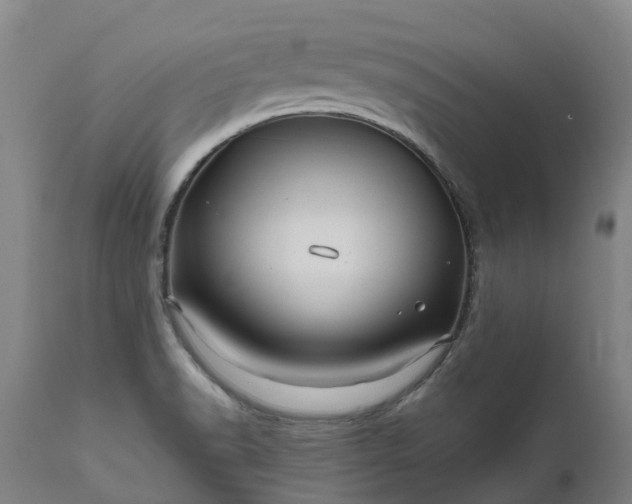 X0000111641518200907311239