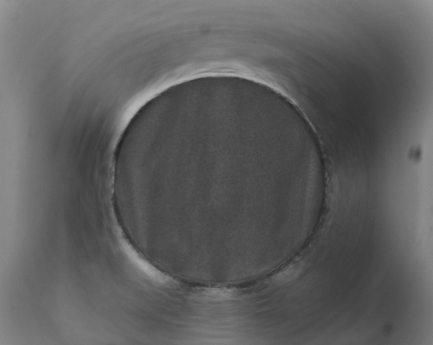 X0000111641519200907311239