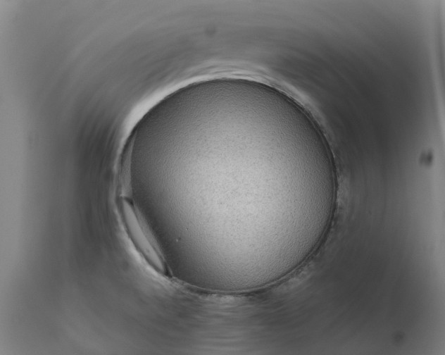 X0000111641520200907311239