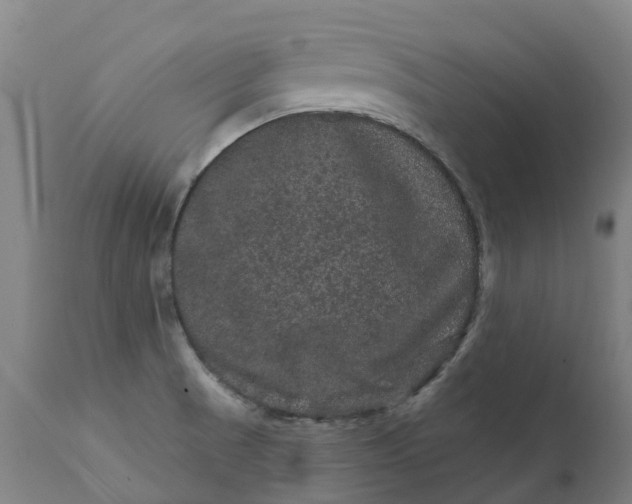 X0000111641521200907311239