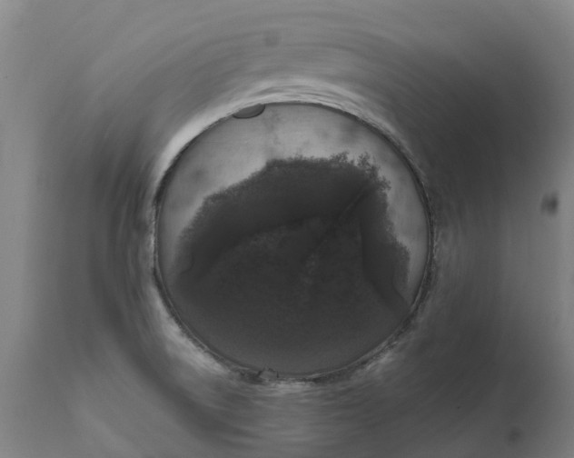 X0000111641522200907311239