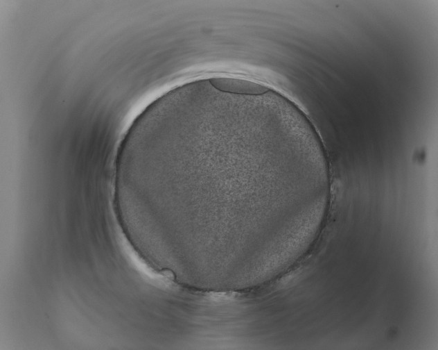 X0000111641523200907311239