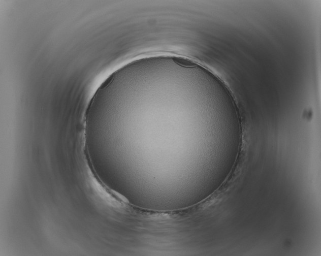 X0000111641524200907311239