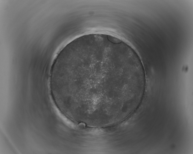 X0000111641525200907311239