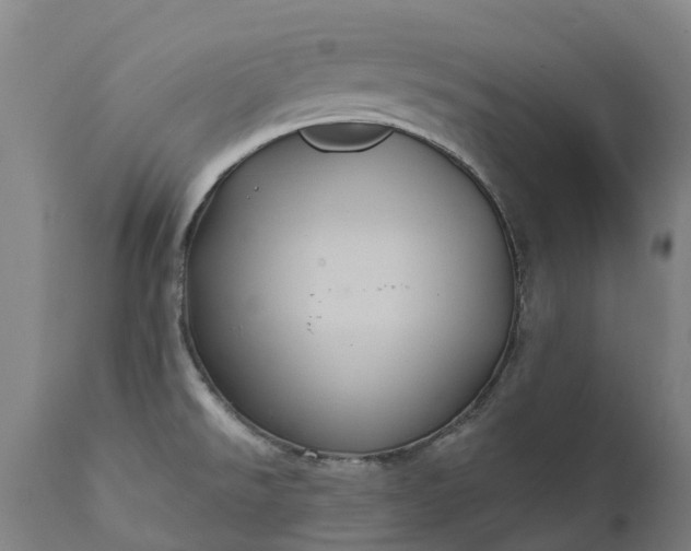 X0000111641526200907311239