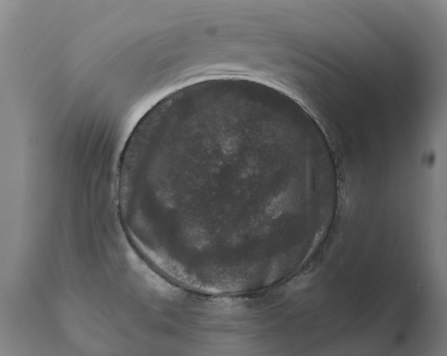 X0000111641527200907311239