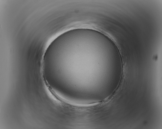 X0000111641528200907311239